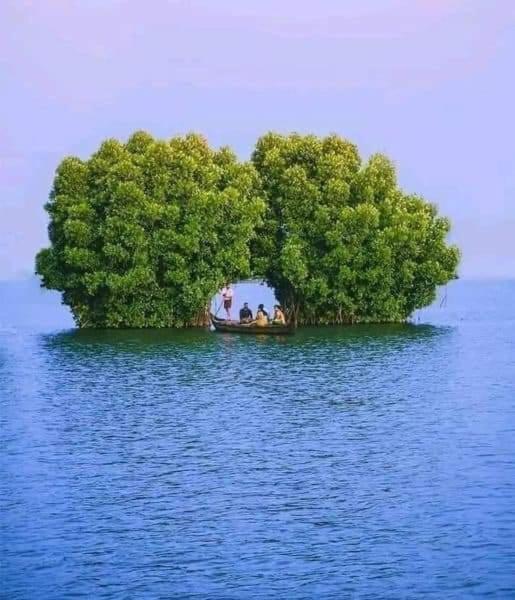 Bliss Homestay Munroe Island Mundrothuruth Екстериор снимка